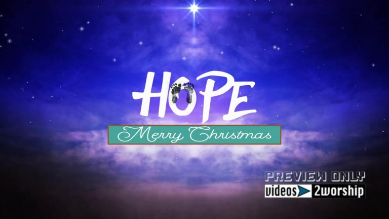 Read more about the article Still: Christmas Hope