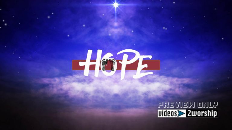 Read more about the article Still: Advent Hope
