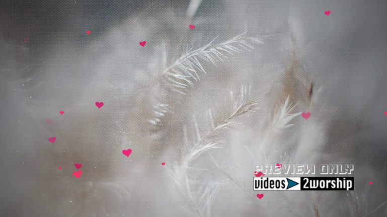 Read more about the article Hearts Over A Textured Feathers Bakground