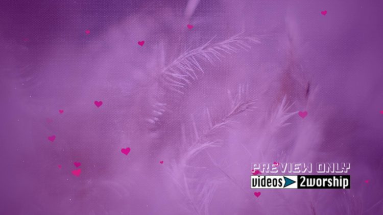 Love And Hearts Valentine's Day Motion