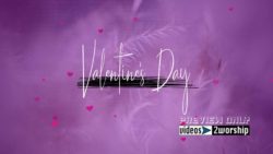 Read more about the article Valentine’s Day Text Motion Background