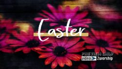 Read more about the article Easter Title Motion Graphics Background
