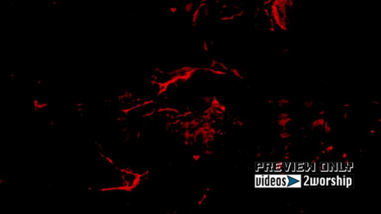 Read more about the article Red Hearts Valentine Love Motion Graphics