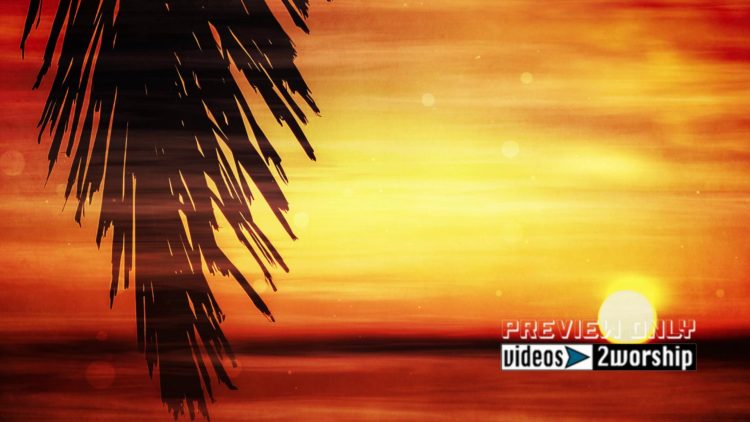 Palm Branch At Sunset Worship Motion