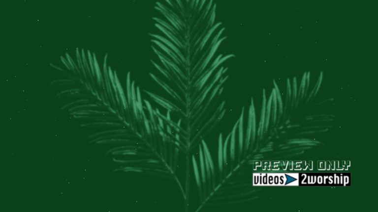 Read more about the article Green Palm Sunday Branch Background