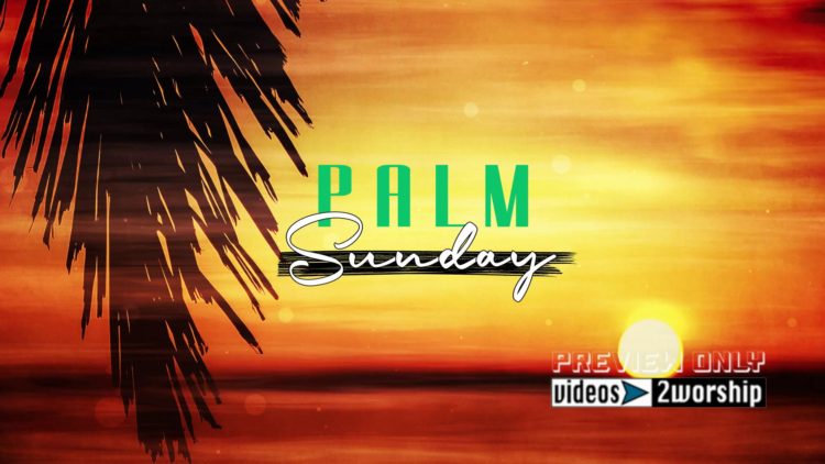 Palm Sunday Title Graphics Background