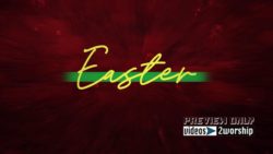 Read more about the article Still: Easter Text