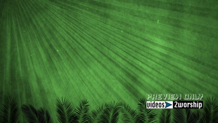 Read more about the article Green Palm Sunday Branches Motion Loop