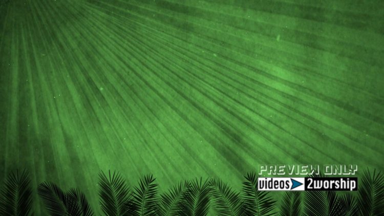 Green Palm Sunday Branches Motion Loop 