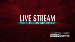 Read more about the article Live Stream Starts Shortly Motion Graphics