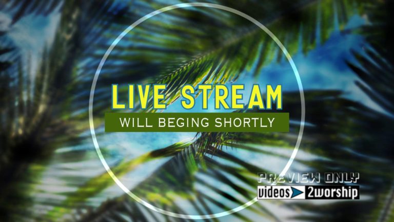 Read more about the article Palm Sunday Live Stream Motion Graphics