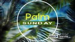 Read more about the article Palm Sunday Church Motion Graphics