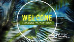 Read more about the article Welcome Text Background For Palm Sunday