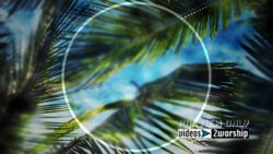 Read more about the article Palm Sunday Title Ready Motion Graphics