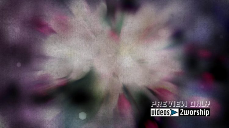 Spring And Summer Flower Blur Motion