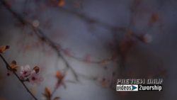 Read more about the article Vintage Mother’s Day Worship Background