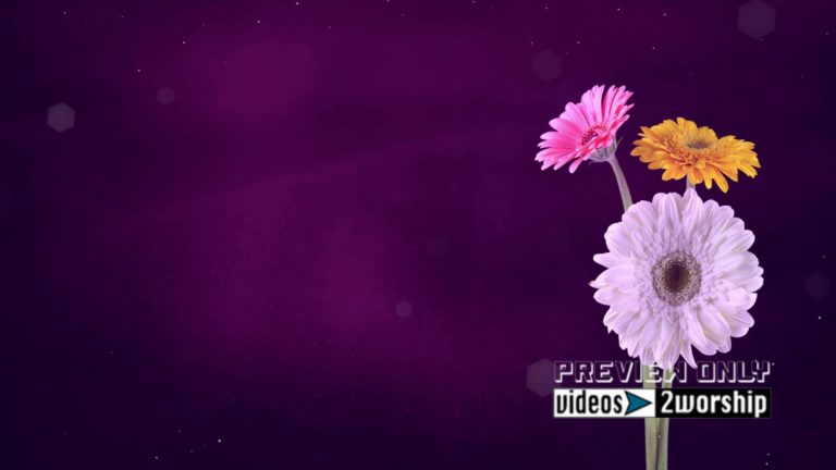 Read more about the article Three Flowers Mothers Day Worship Motion