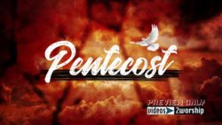 Read more about the article Pentecost Text And White Dove Loop