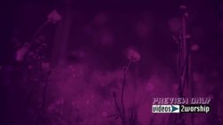 Read more about the article Summer Flowers Worship Motion Background