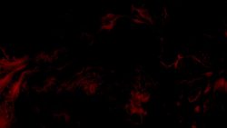 Read more about the article Red Paint Free Motion Worship Background