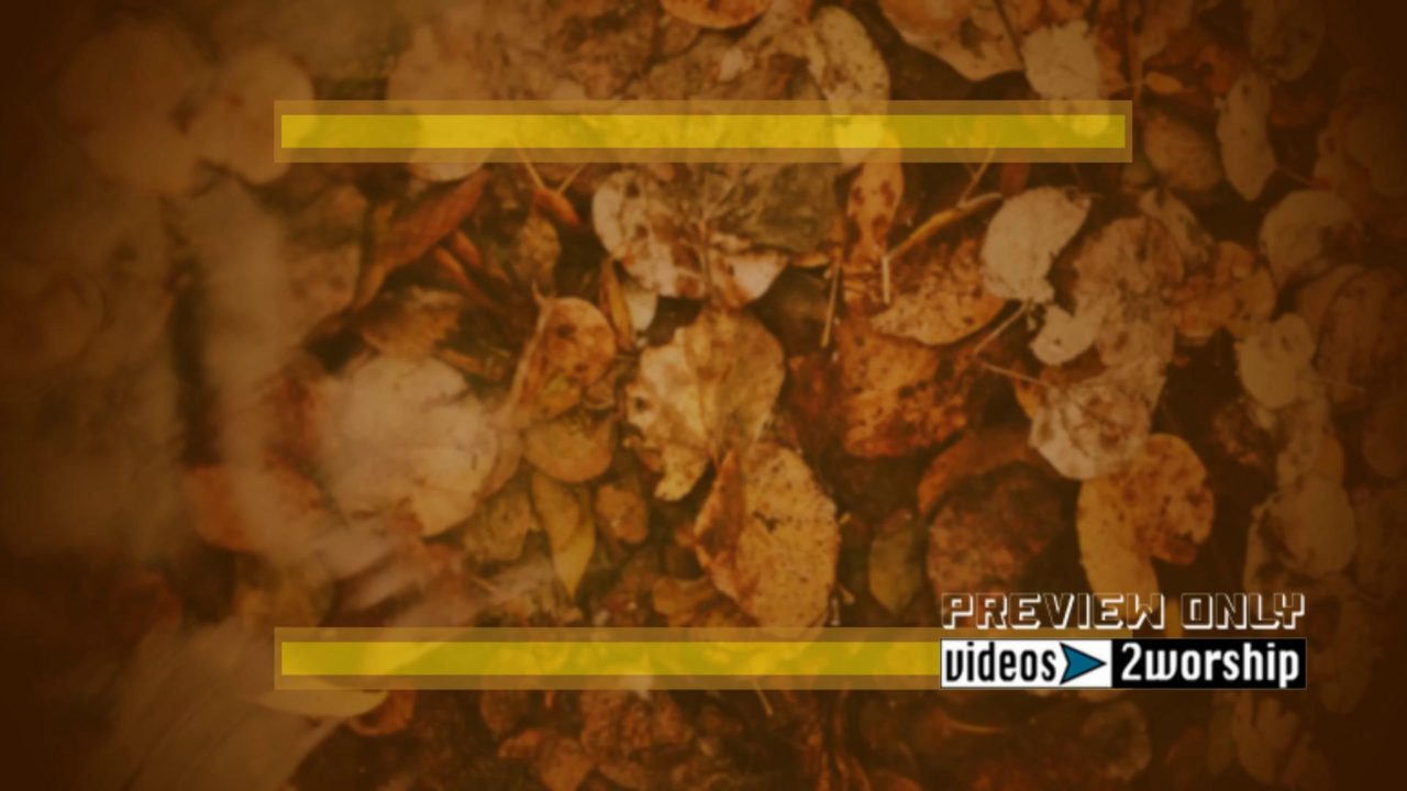 Autumn Fallen Leaves Motion Worship Loop