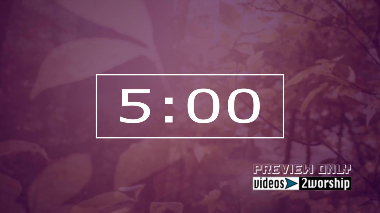 Autumn Trees Five Minutes Countdown Video