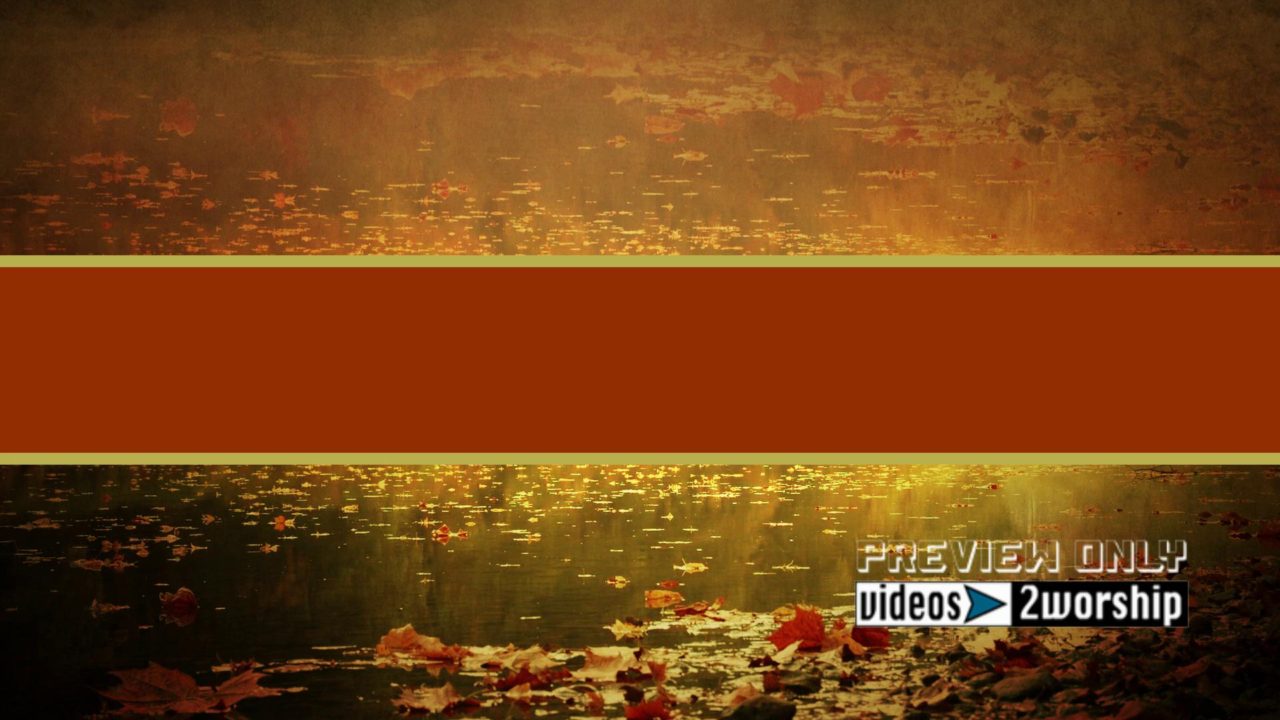 Leaves On Water Autumn Title Ready Loop