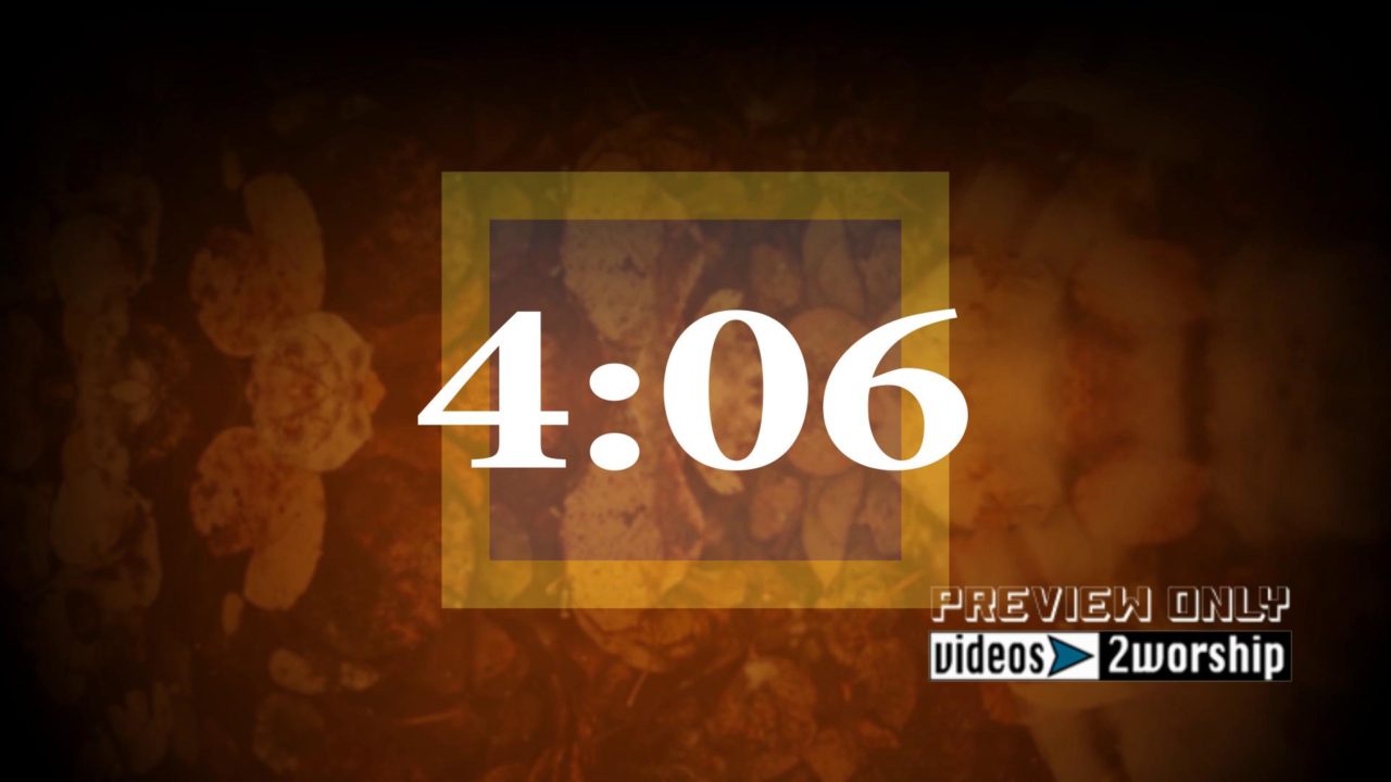 Countdown Leaves Under Water Video