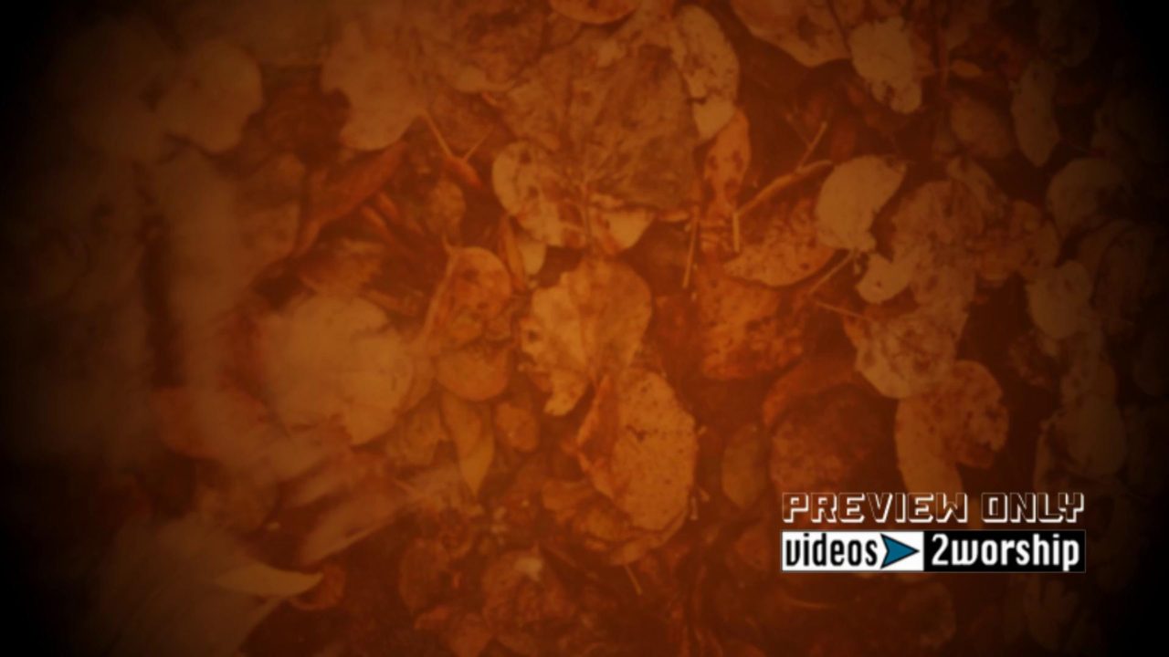 Fall Leaves Under Water Background Loop