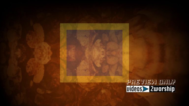 Read more about the article Autumn Leaves Under Water Motion Worship