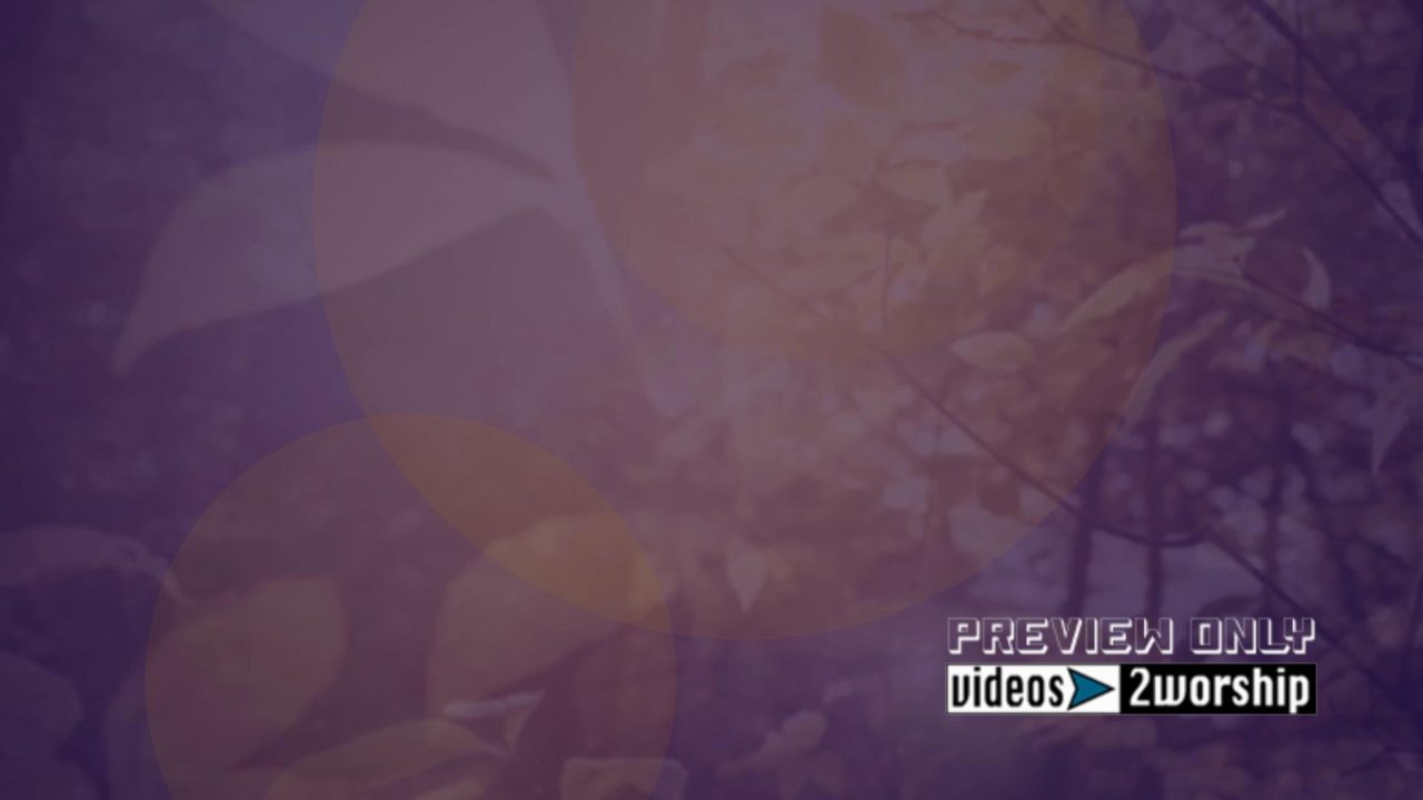 Fall Nature Motion Worship Graphics Loop