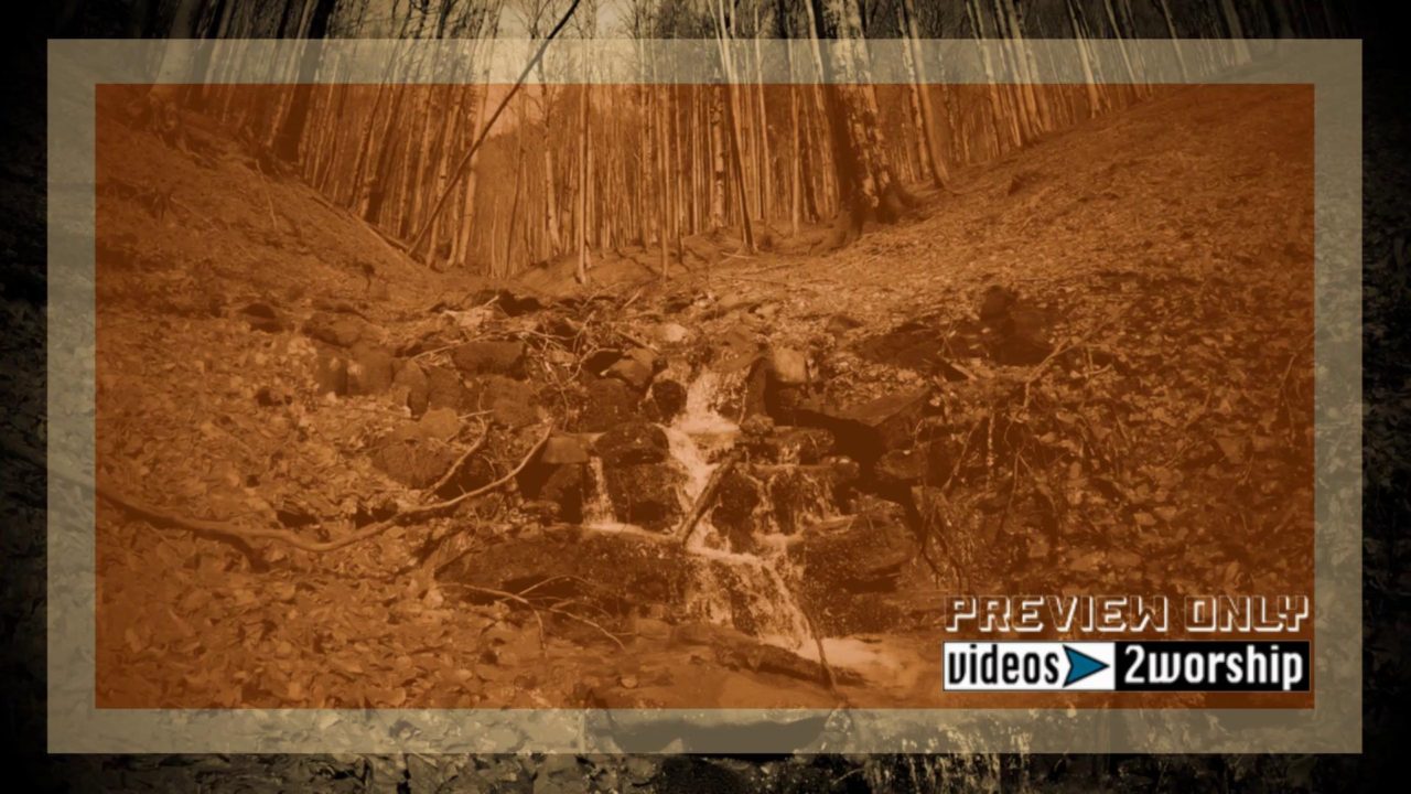 In The Forest Fall Motion Worship Graphics