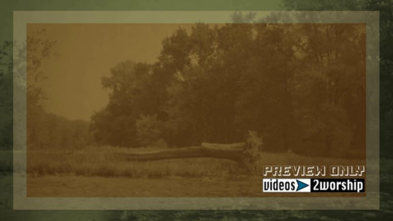 Read more about the article Vintage Autumn Outdoors Motion Backdrop