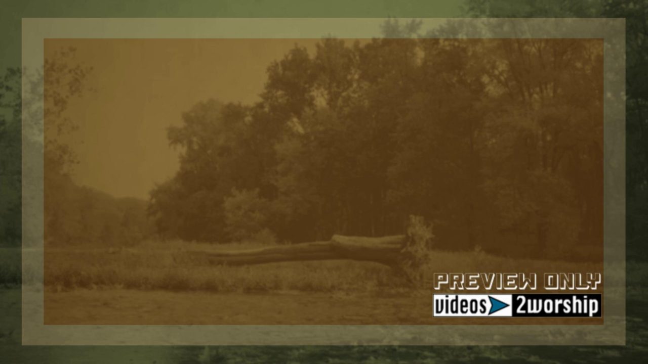 Vintage Autumn Outdoors Motion Backdrop