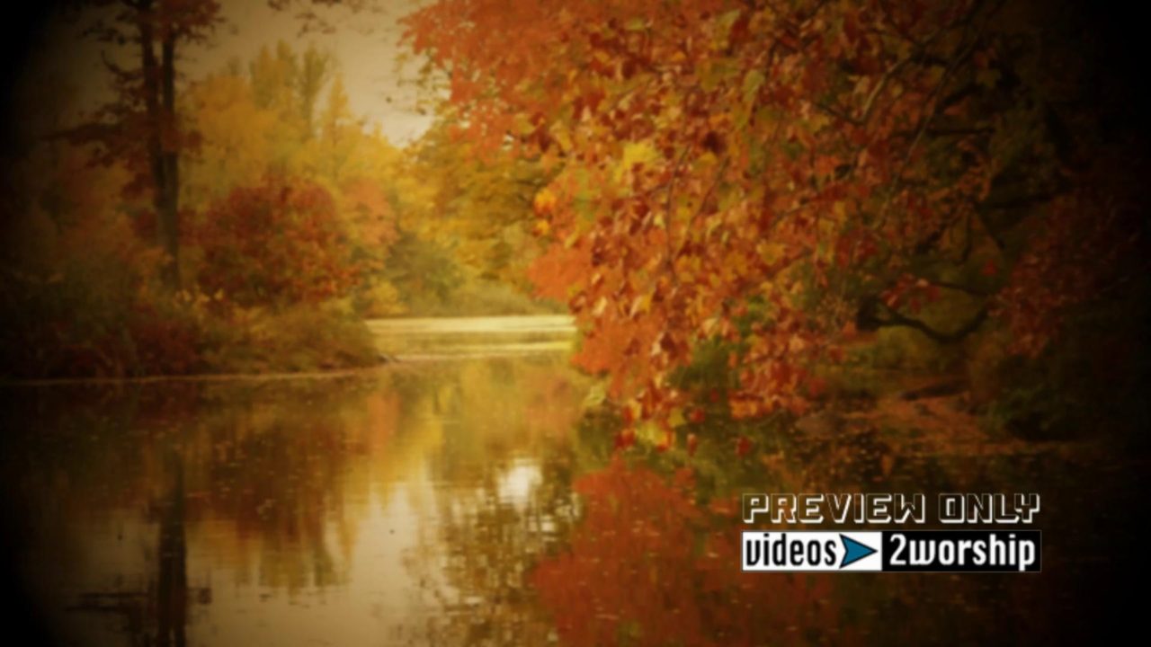 Colorful Autumn Trees By The River Loop