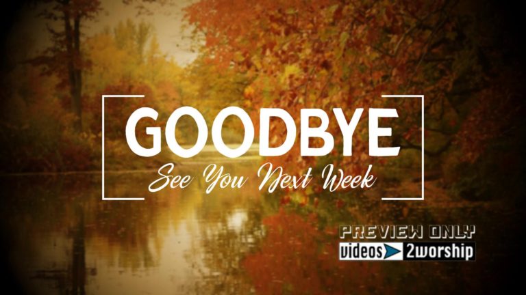 Read more about the article Goodbye Colorful Trees By The River Motion