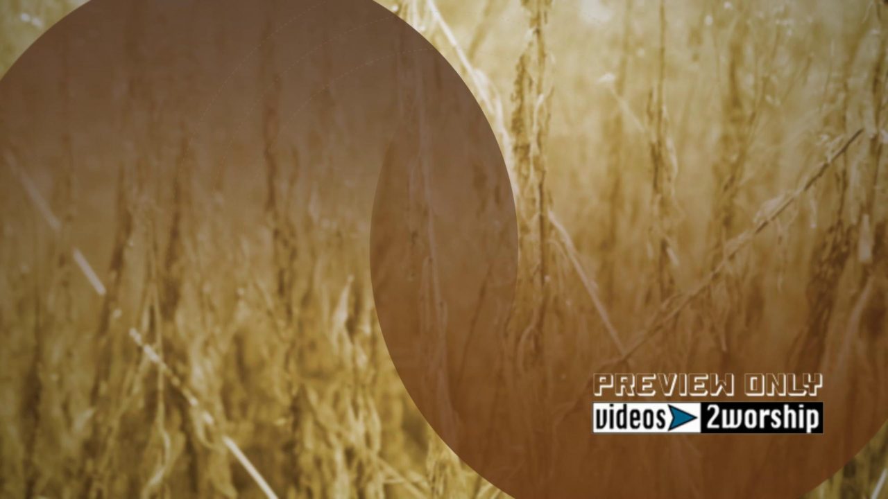 Plants And Shapes Autumn Motion Worship