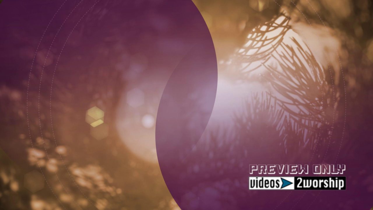 Christmas Holidays Motion Evergreen Branch