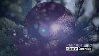 Read more about the article Evergreen Branch Winter Holidays Graphics