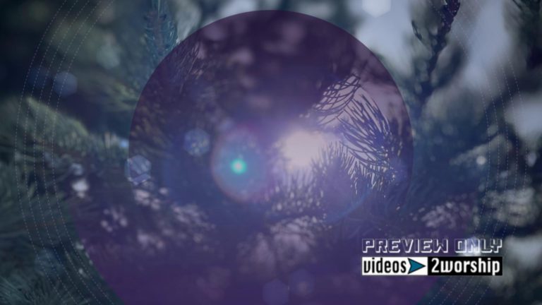 Read more about the article Evergreen Branch Winter Holidays Graphics