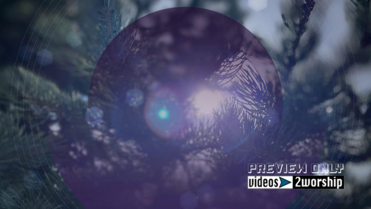 Evergreen Branch Winter Holidays Graphics