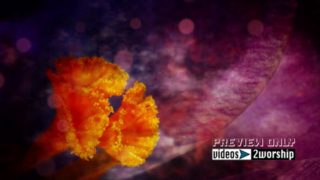 Read more about the article Mother’s Day Large Flower Worship Motion