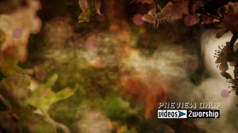 Read more about the article Free Vintage Mother’s Day Worship Motion