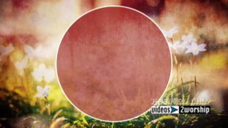 Read more about the article Title Ready Floral Textured Motion Worship