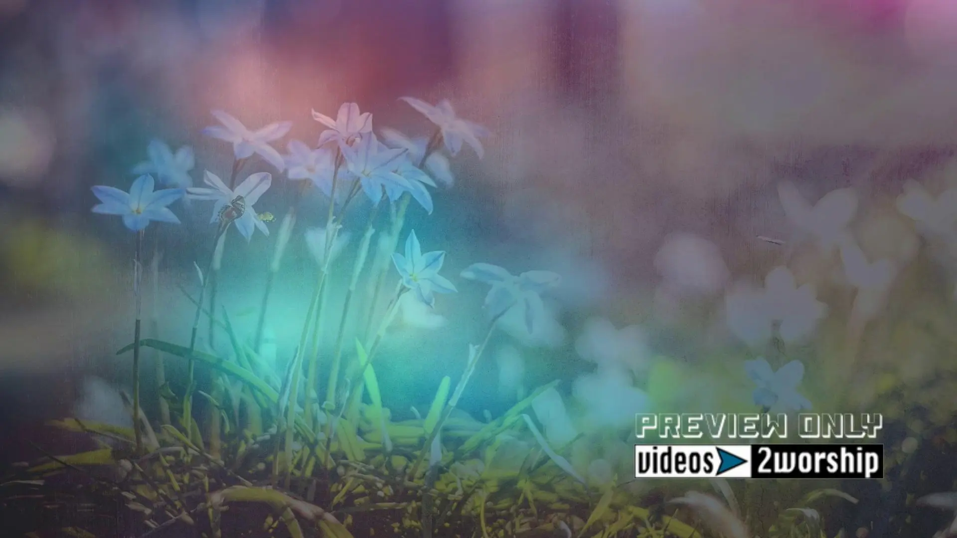 Read more about the article Flowers and Butterflies Motion Worship Loop