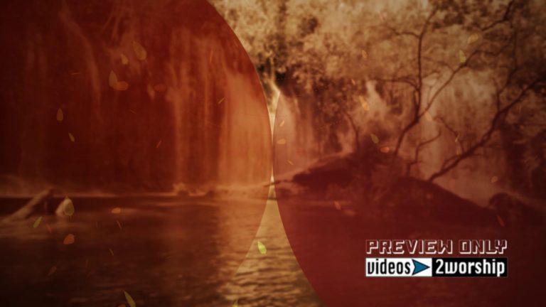 Read more about the article Lake And Falling Leaves Outdoors Motion