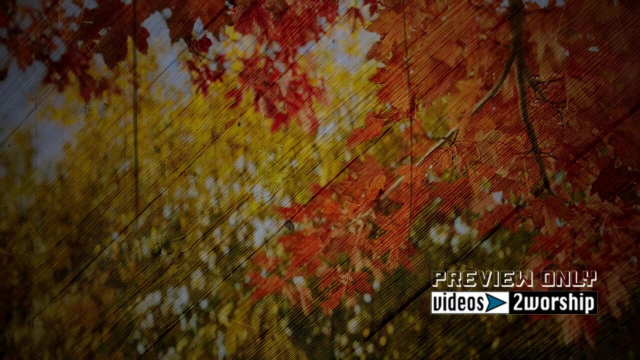 Fall Season In Colorful Colorado Motion Loop