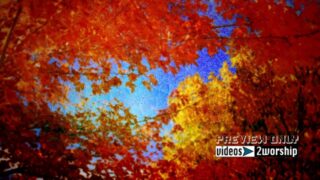Read more about the article Colorful Fall In Colorado Motion Loop Video