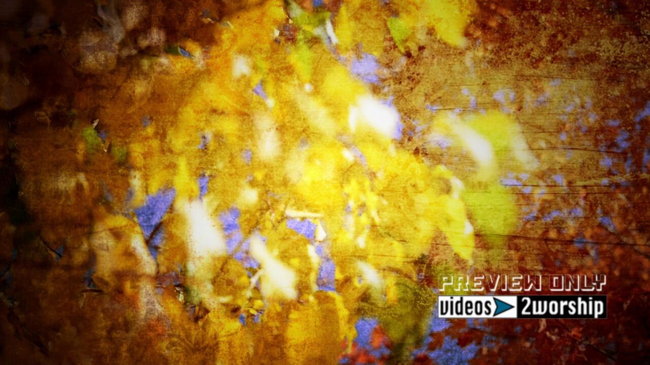 Fall Foliage From Colorado Motion Loop