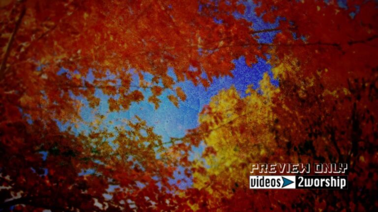 Read more about the article Red And Gold Colorado Fall Motion Video